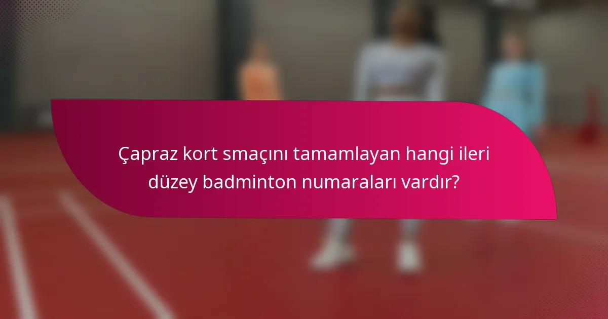 Çapraz kort smaçını tamamlayan hangi ileri düzey badminton numaraları vardır?